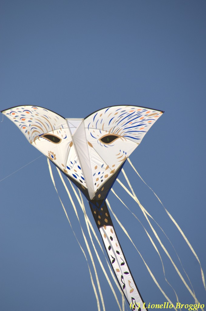 32 FESTIVAL CERVIA 2012 - 236.jpg